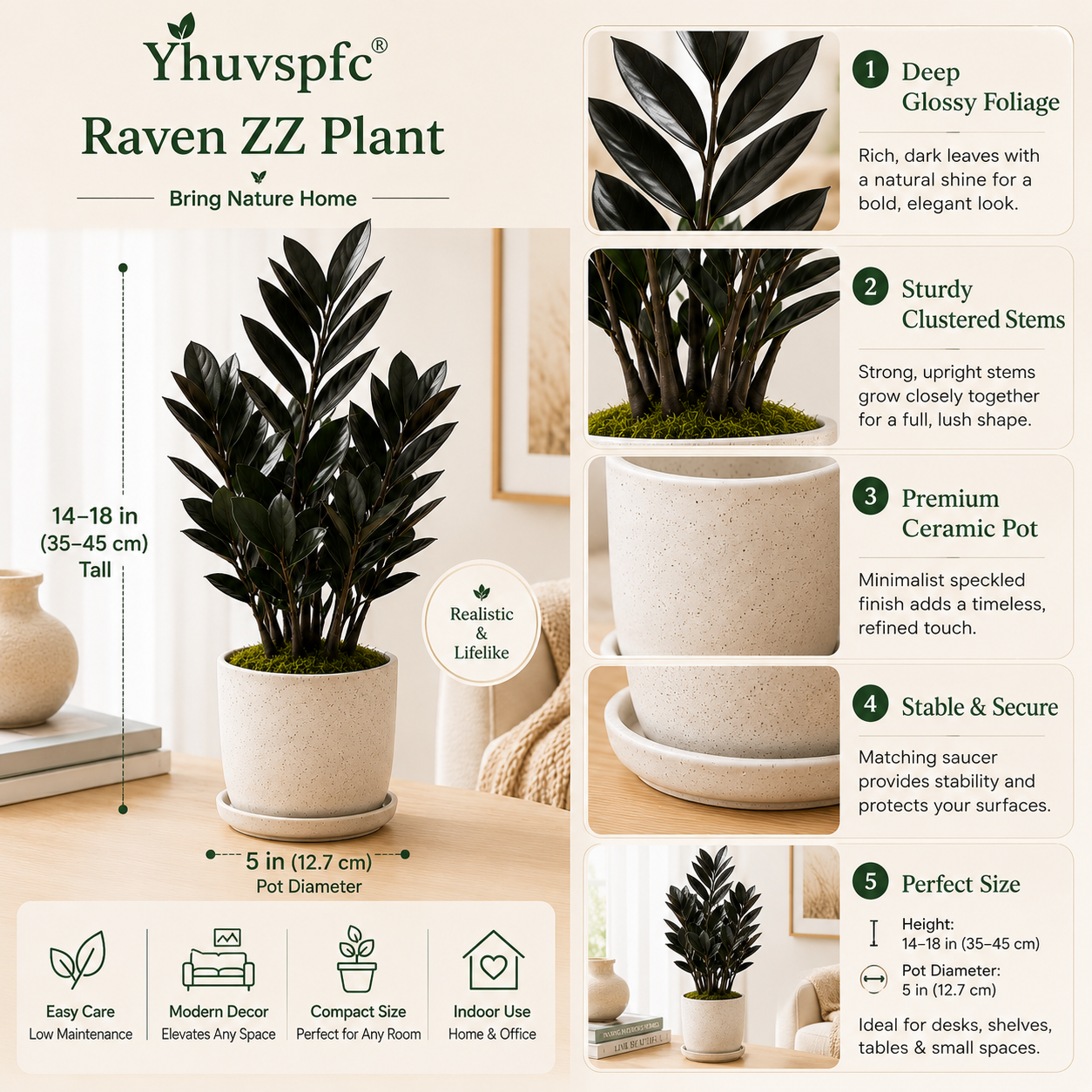 Yhuvspfc® Raven ZZ Plant