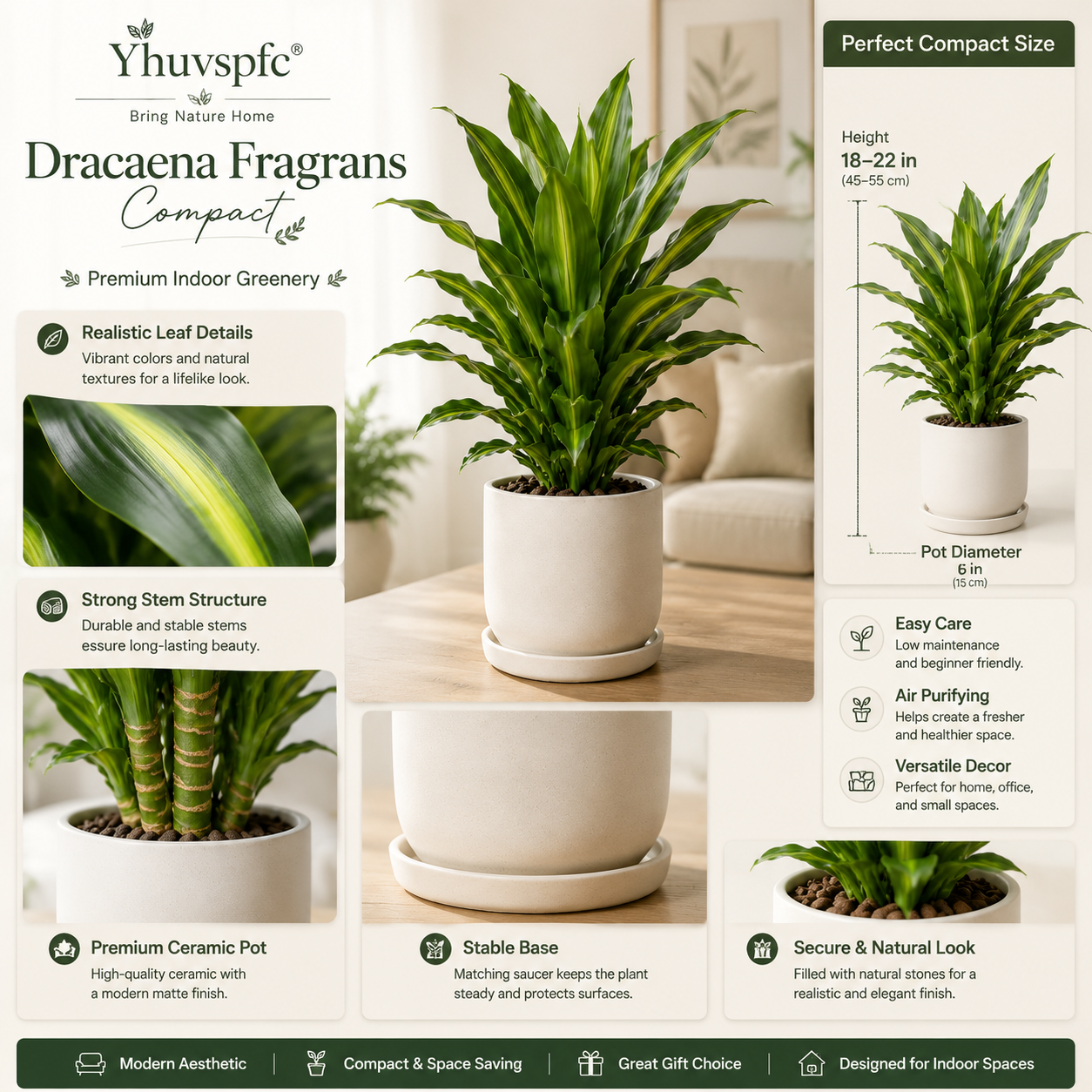 Yhuvspfc® Dracaena Fragrans Compact