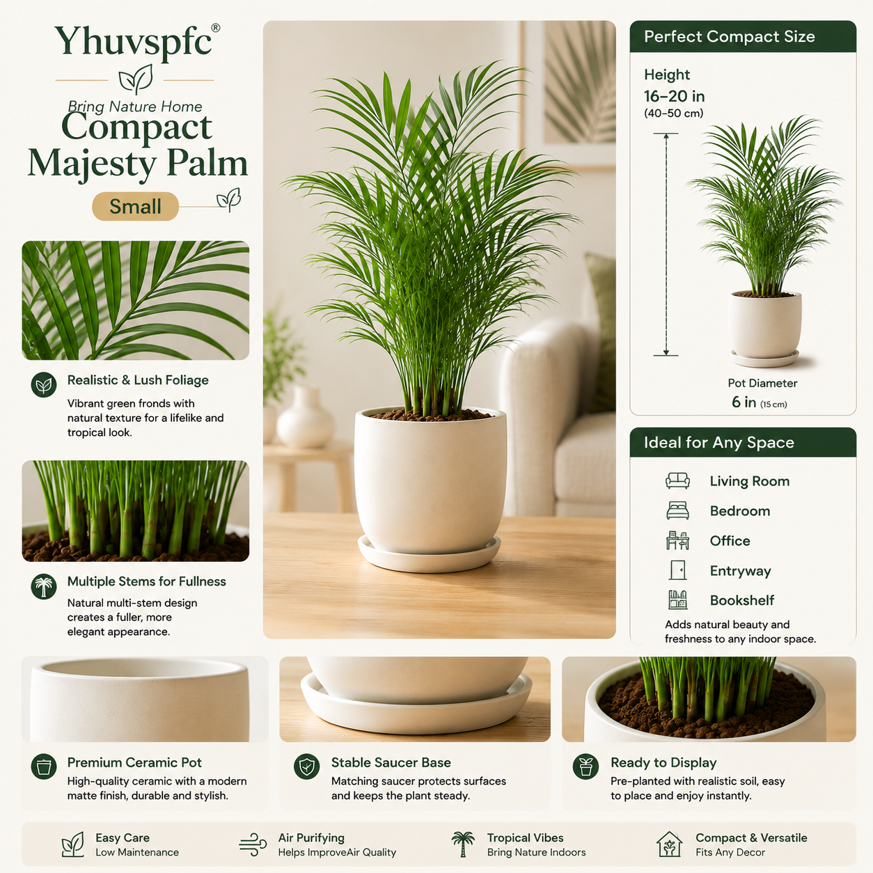 Yhuvspfc® Compact Majesty Palm