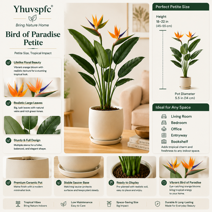 Yhuvspfc® Bird of Paradise Petite