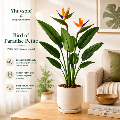 Yhuvspfc® Bird of Paradise Petite