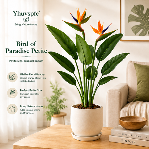 Yhuvspfc® Bird of Paradise Petite