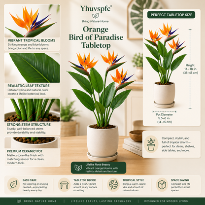 Yhuvspfc® Orange Bird of Paradise Tabletop