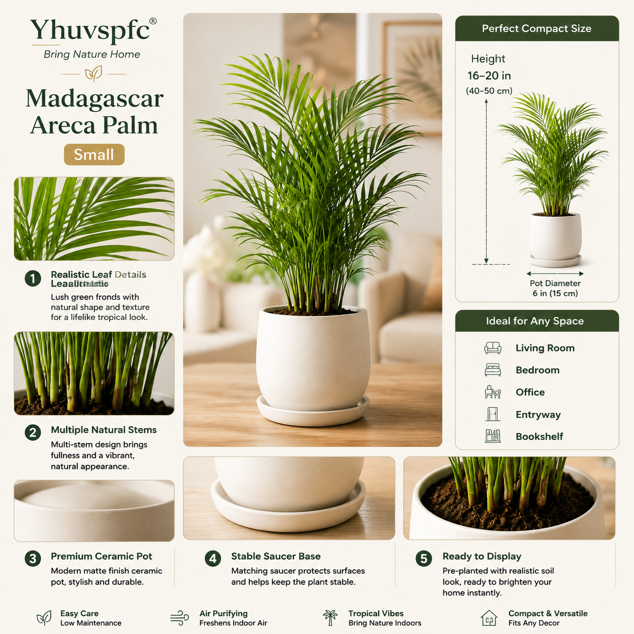 Yhuvspfc® Madagascar Areca Palm Small
