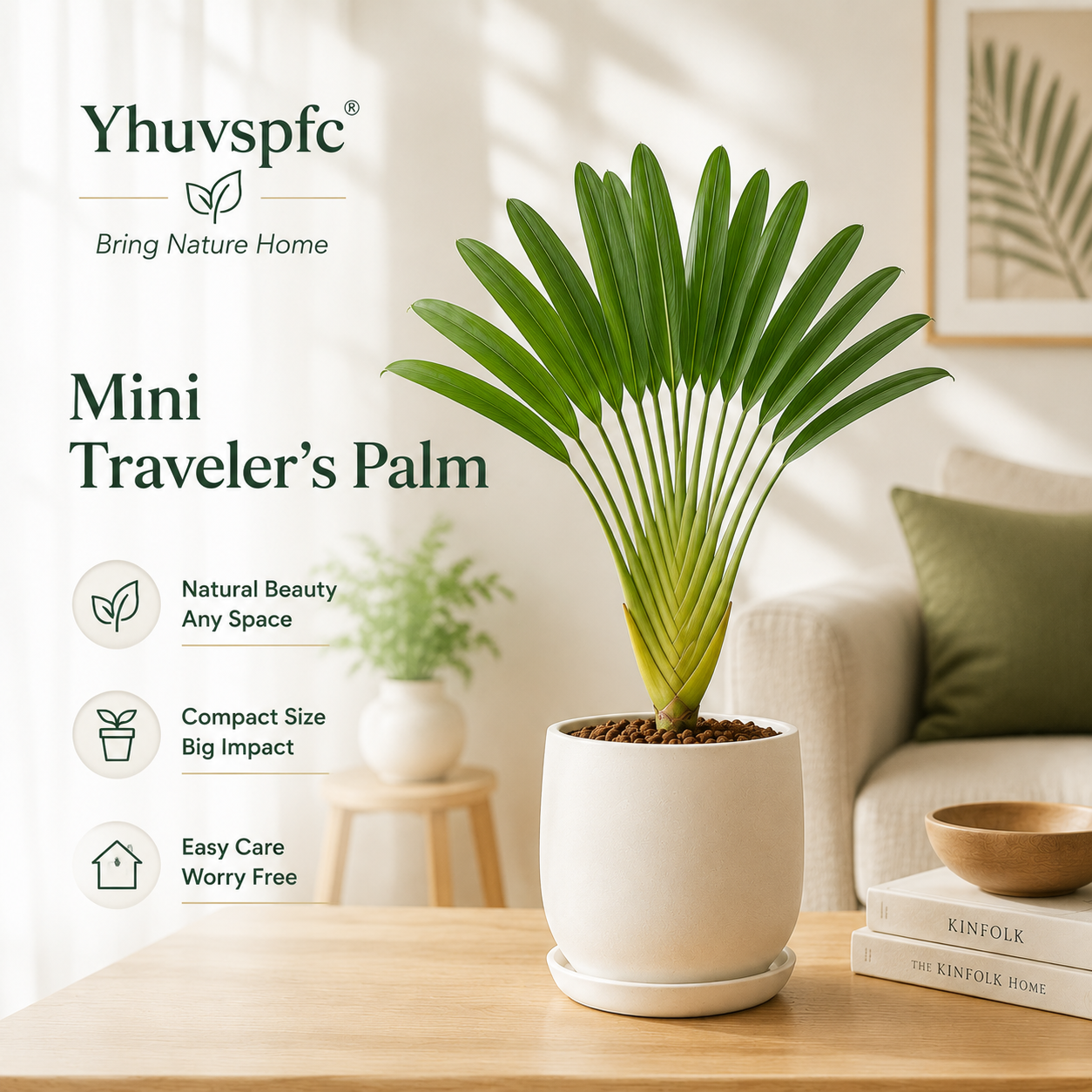 Yhuvspfc® Mini Traveler’s Palm