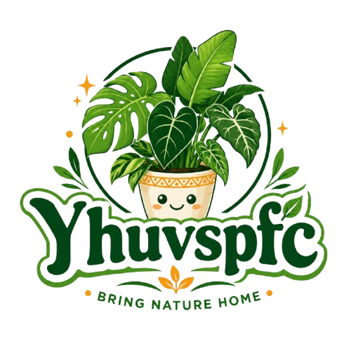 Yhuvspfc